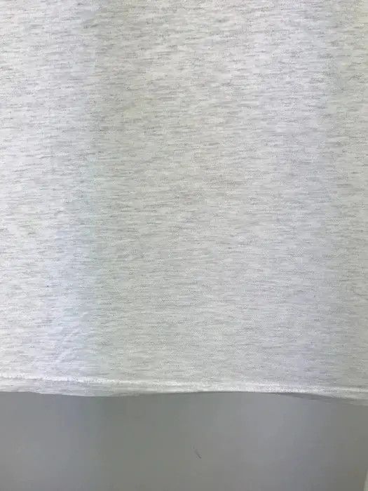 Band Tees Hanes T-shirt mouse gym band tee vintage size XLarge Size US XL / EU 56 / 4 - 5 Thumbnail