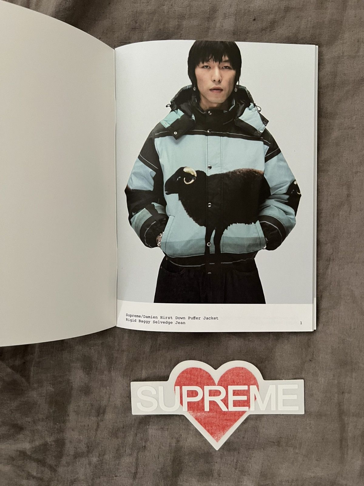 Supreme Supreme SS25 Stickers, Sponge, Look Book. Aphex Twin etc Size ONE SIZE - 3 Thumbnail