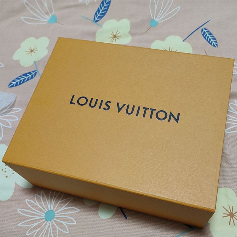 Louis Vuitton Louis Vuitton Trainer Low Top Sneakers in Light Green -2508 Size US 8.5 / EU 41-42 - 6 Thumbnail