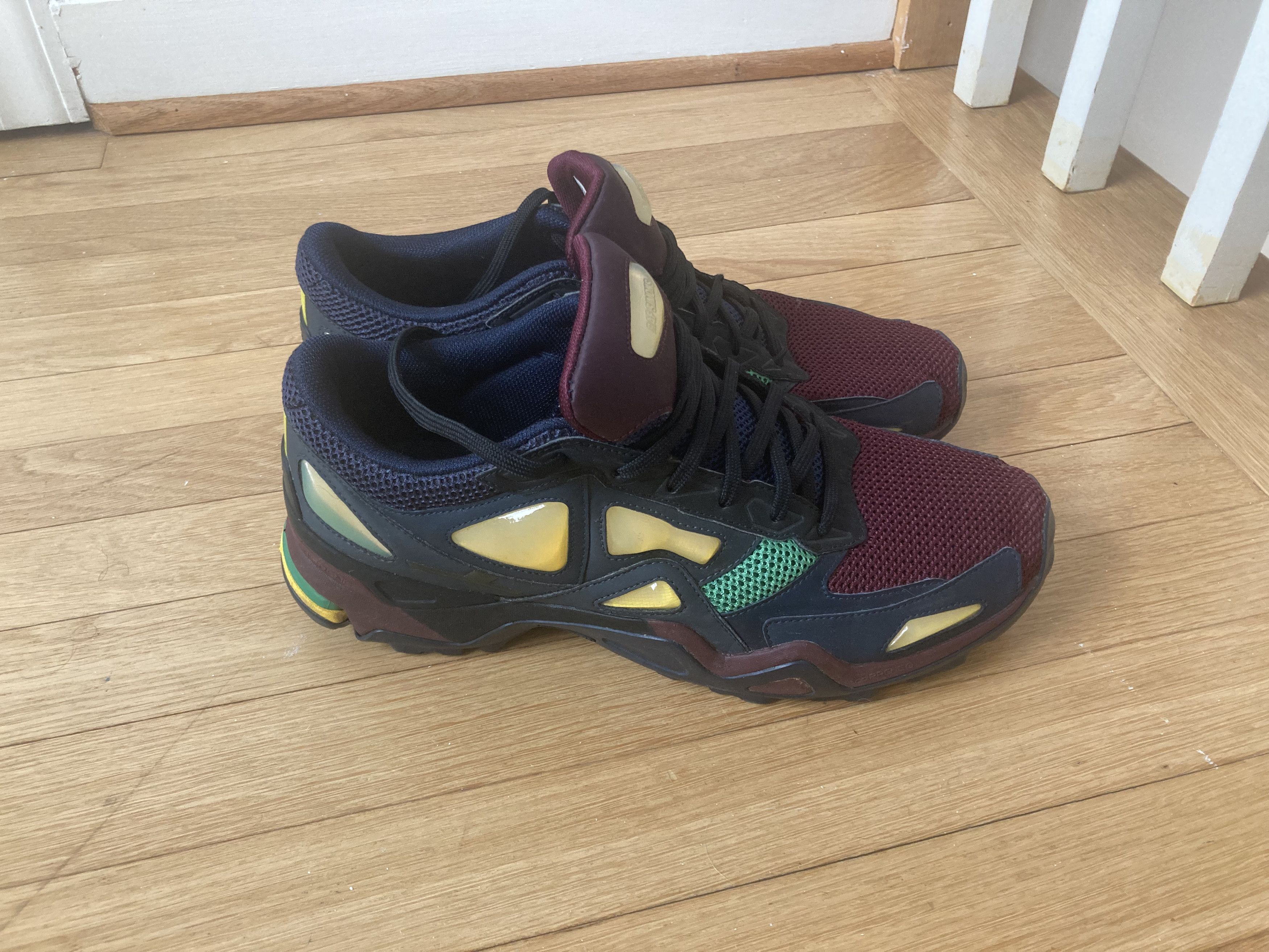 Adidas Raf Simons Terrex Ozweego