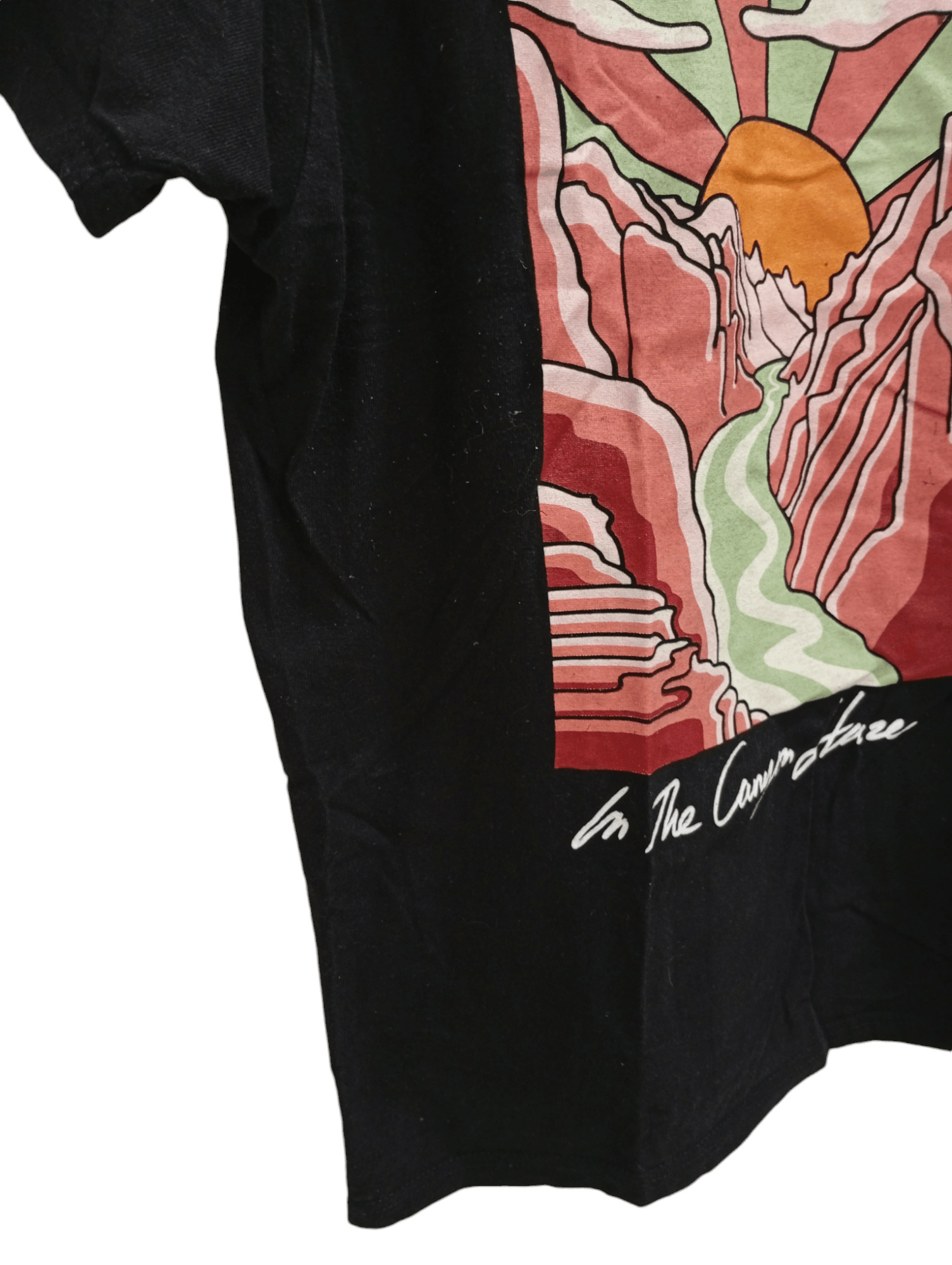 Band Tees × Vintage 🔥🔥Brandi Carlile In the Canyon Haze T-Shirt Size US M / EU 48-50 / 2 - 10 Thumbnail