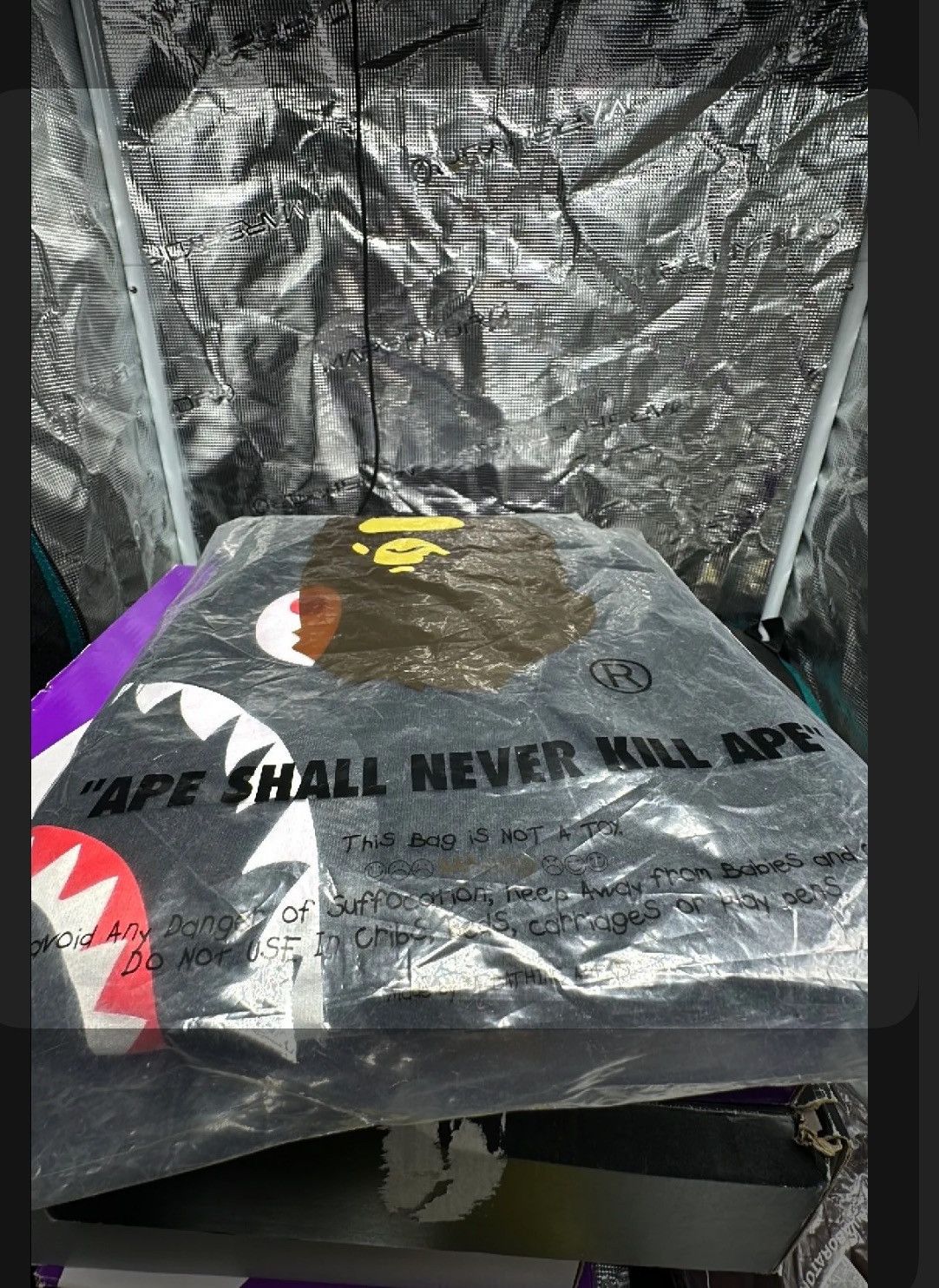 Bape Shark Sweat Shorts Size US 34 / EU 50 - 2 Thumbnail