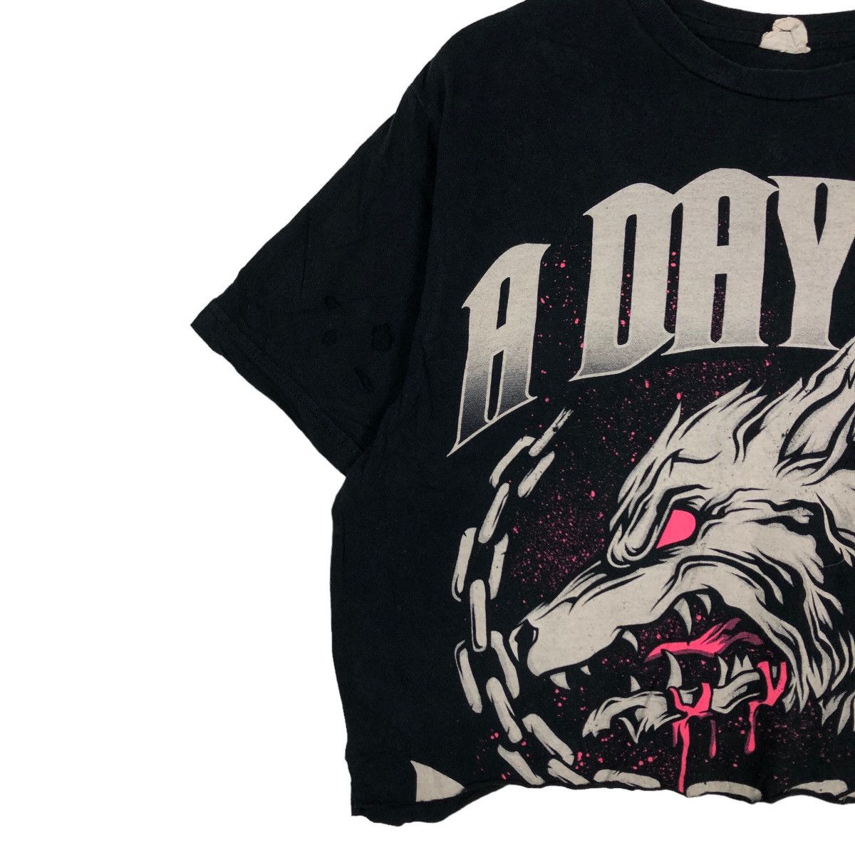 Band Tees 🔥Pick Distressed Seditionaries Cropped Tee Band A Day To Size US M / EU 48-50 / 2 - 8 Thumbnail