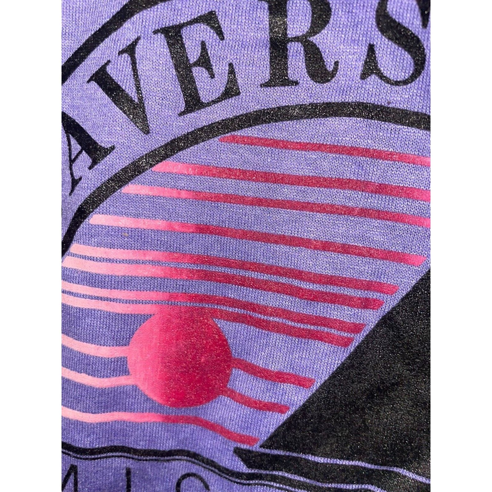 Jerzees Vintage Traverse City Shirt Test Print Grand Tetons Tee VTG Size US M / EU 48-50 / 2 - 5 Thumbnail