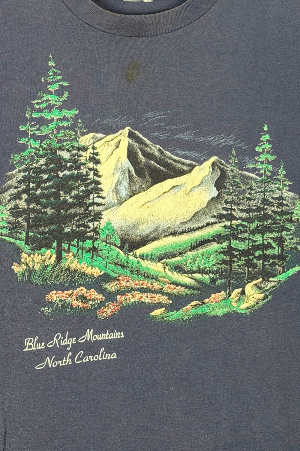 Vintage 90s Blue Ridge Mountains Scenic Tee (Single Stitch) Size US M / EU 48-50 / 2 - 4 Thumbnail