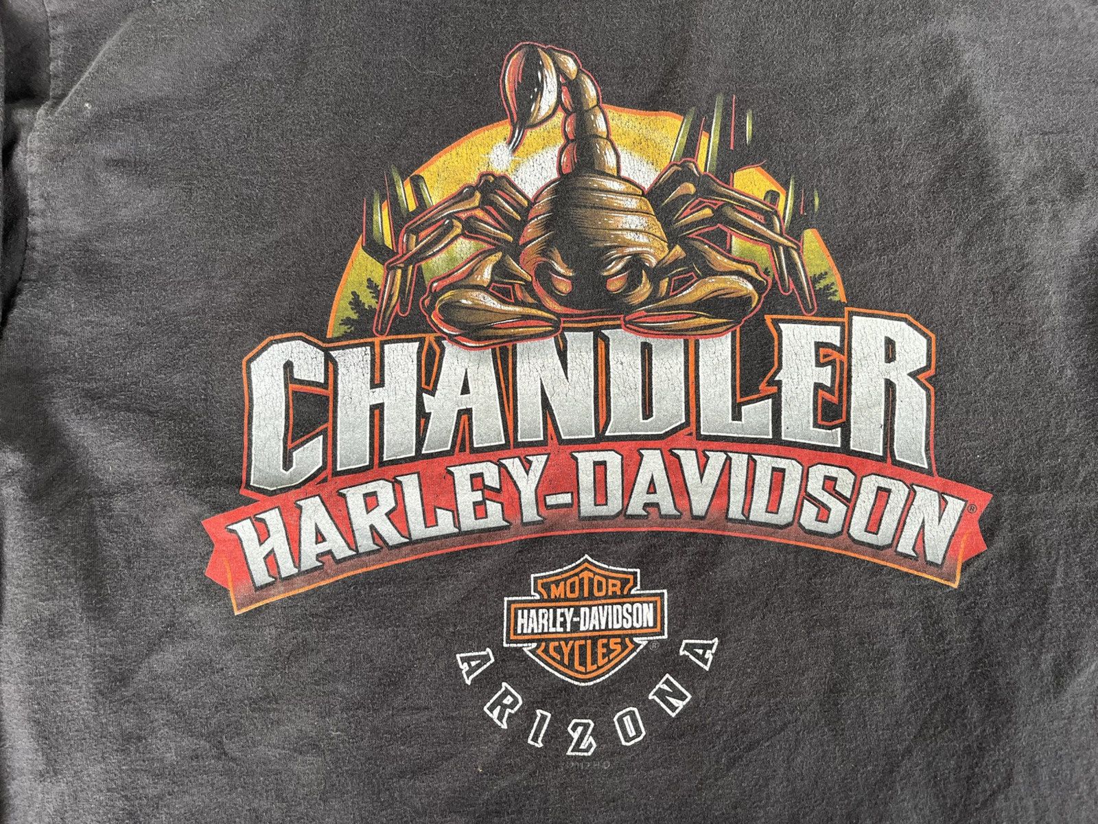 Harley Davidson × Vintage Vintage Y2K Harley Davidson Arizona Size US L / EU 52-54 / 3 - 4 Thumbnail
