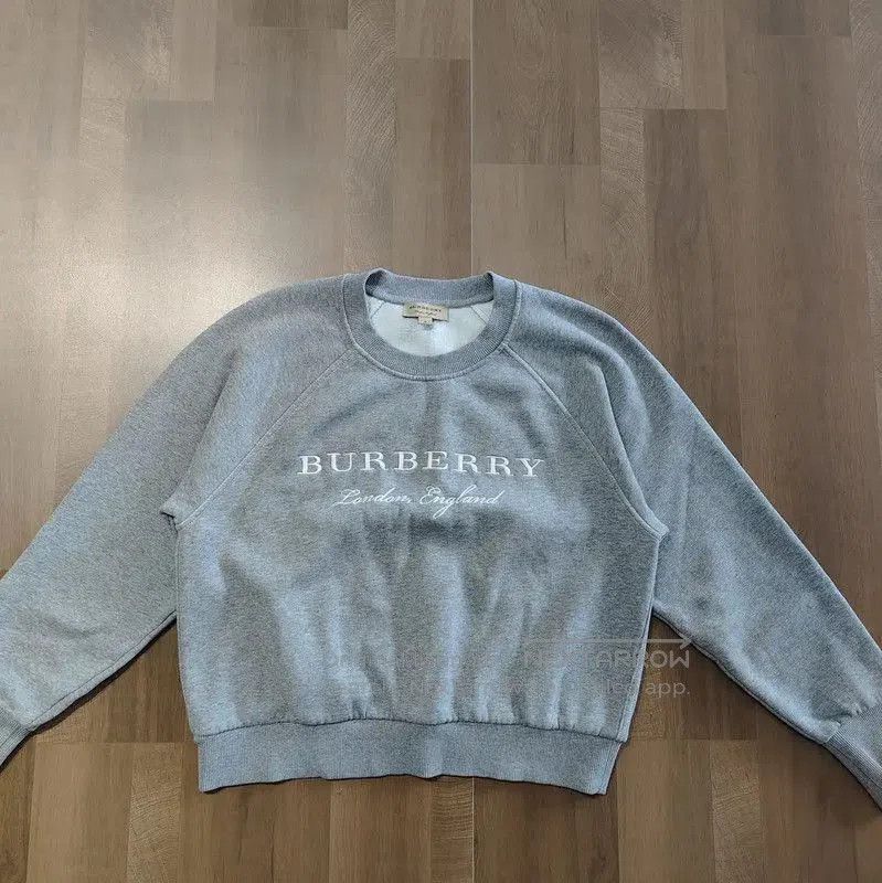 MR & MRS ITALY Burberry Gray Cotton Women's Sweatshirt. Size M / US 6-8 / IT 42-44 - 1 Thumbnail