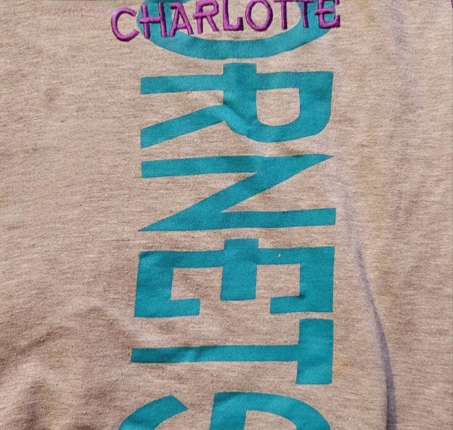Starter Vintage 90's Star Charlotte Hornets Sweater Sz Medium Size US M / EU 48-50 / 2 - 3 Thumbnail