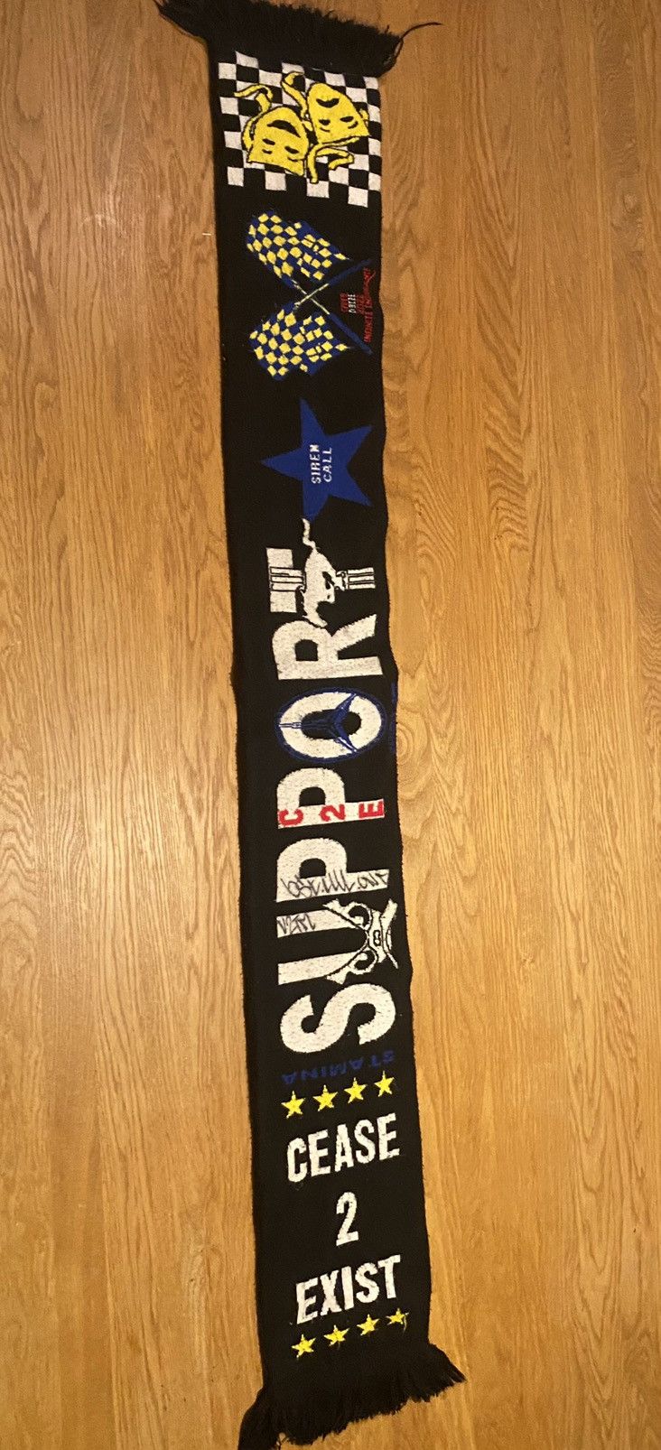Alexander McQueen Scarf