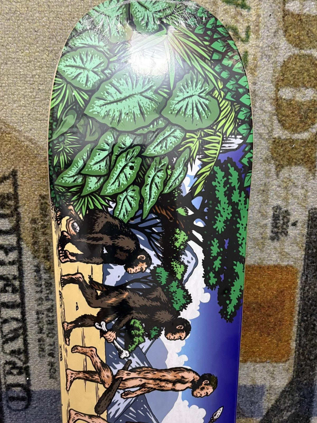 Supreme Supreme Evolution Skateboard Deck 8.25 Size ONE SIZE - 4 Thumbnail