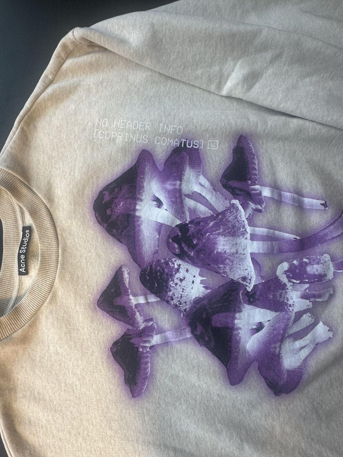 Acne Studios Acne Studios X-Ray Mushroom Graphic Sweatshirt Size US XL / EU 56 / 4 - 5 Thumbnail
