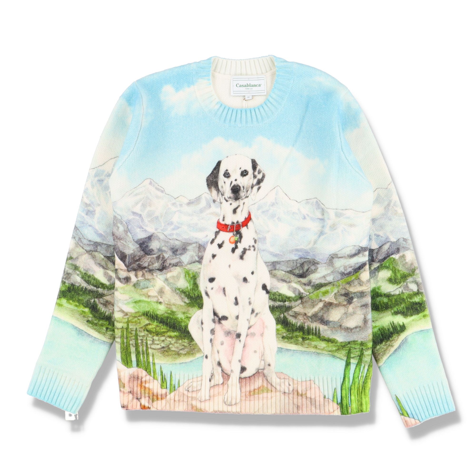 Multicolour Dalmatian Print Wool Sweater