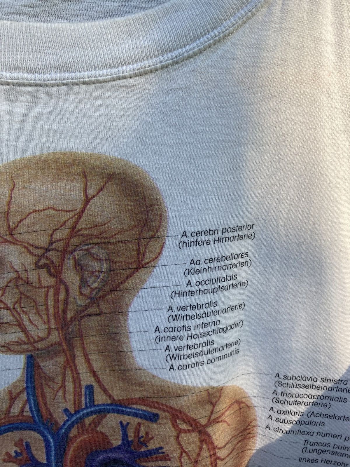 Nirvana Vintage rare 1989 Human anatomy Tee Size US XL / EU 56 / 4 - 5 Thumbnail