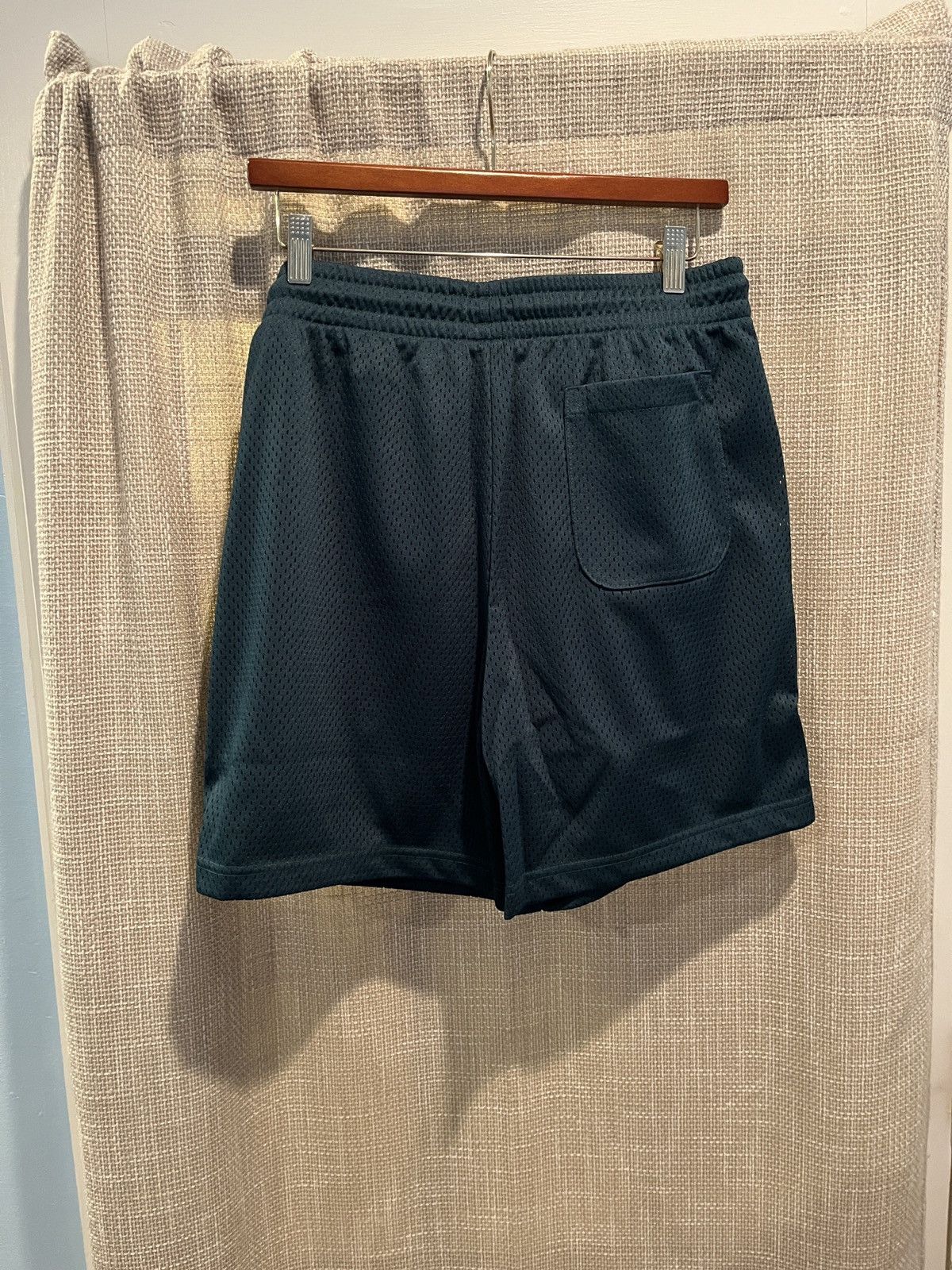 Aime Leon Dore Aime Leon Dore Botanical Green Mesh Gym Shorts Size US 31 - 4 Thumbnail