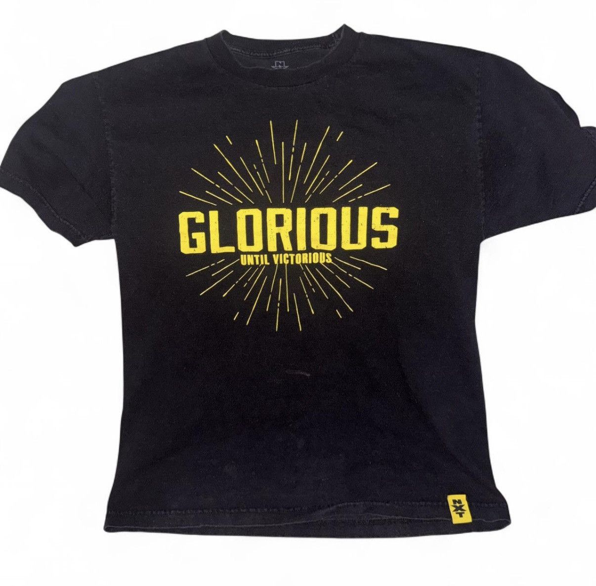 WWE WWE NXT Bobby Roode That’s Roode T Shirt Size L Size US L / EU 52-54 / 3 - 1 Thumbnail