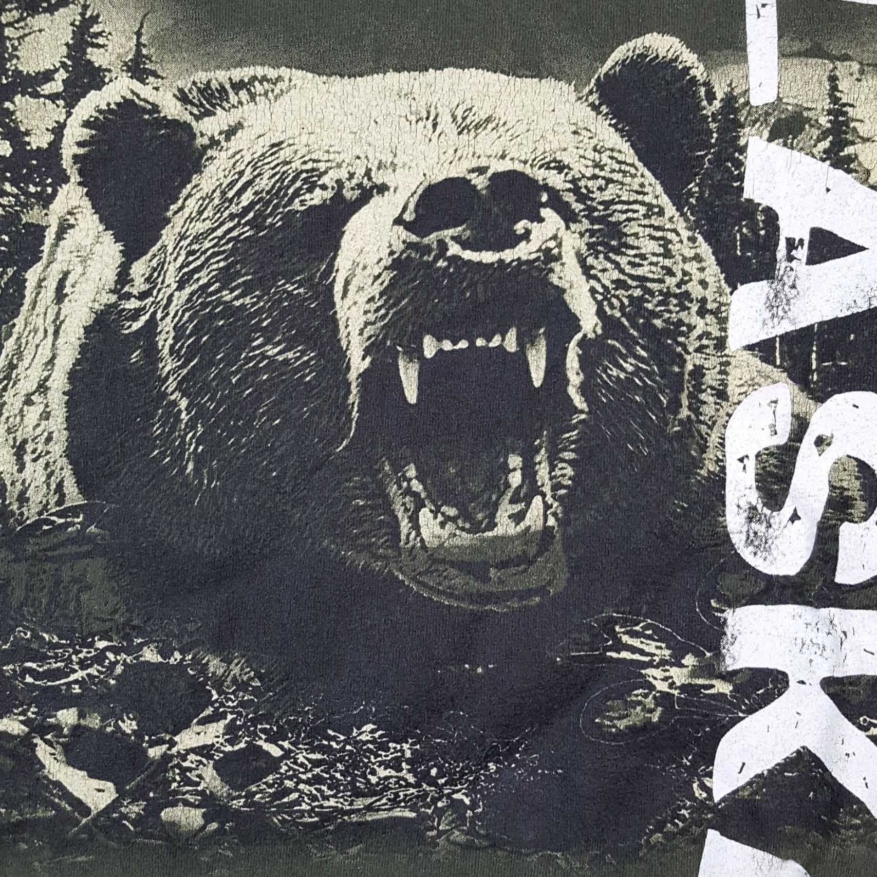 Anvil VINTAGE Anvil Alaska T-Shirt Men’s XS Short Sleeve Crew Neck Green 90s Bear Wrap Around Print Retro Nature Bear Mens XS Size US XS / EU 42 / 0 - 3 Thumbnail