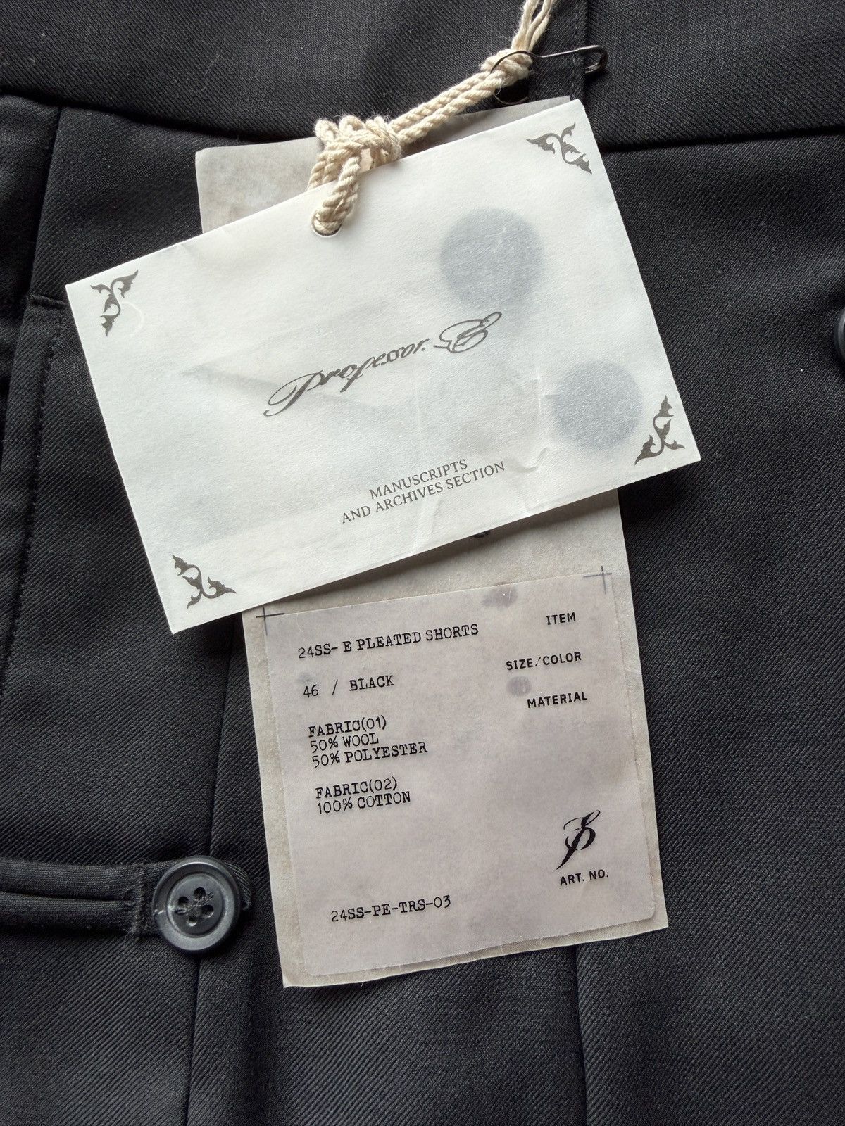 Professor.E Professor.E 24SS Pleated Shorts Size US 44 / EU 60 - 7 Thumbnail