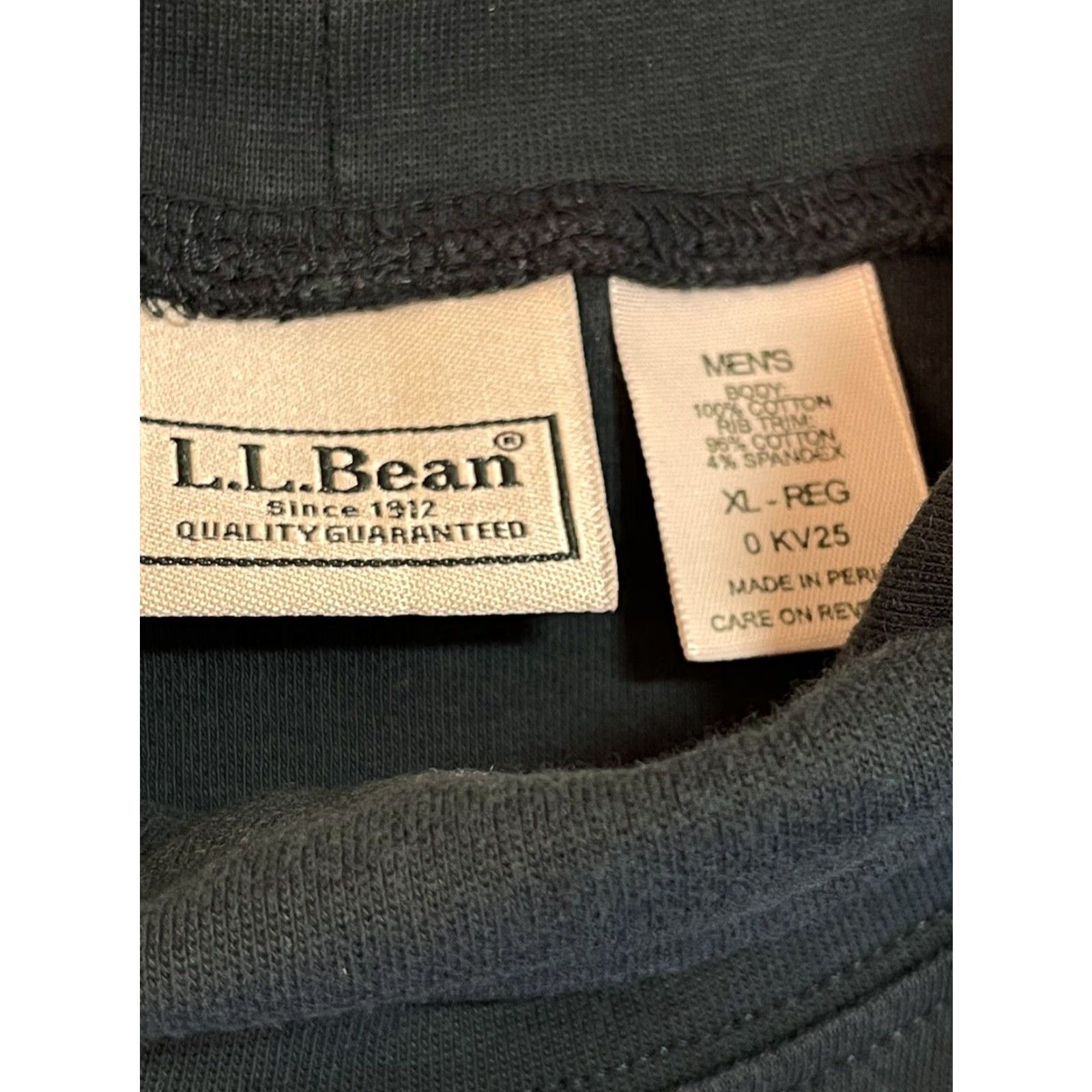 Vintage VINTAGE L.L. Bean Turtleneck Shirt Mens XL Cotton Green 1990s Base Layer Hiking Ski Long Sleeve Mens Size US XL / EU 56 / 4 - 2 Thumbnail