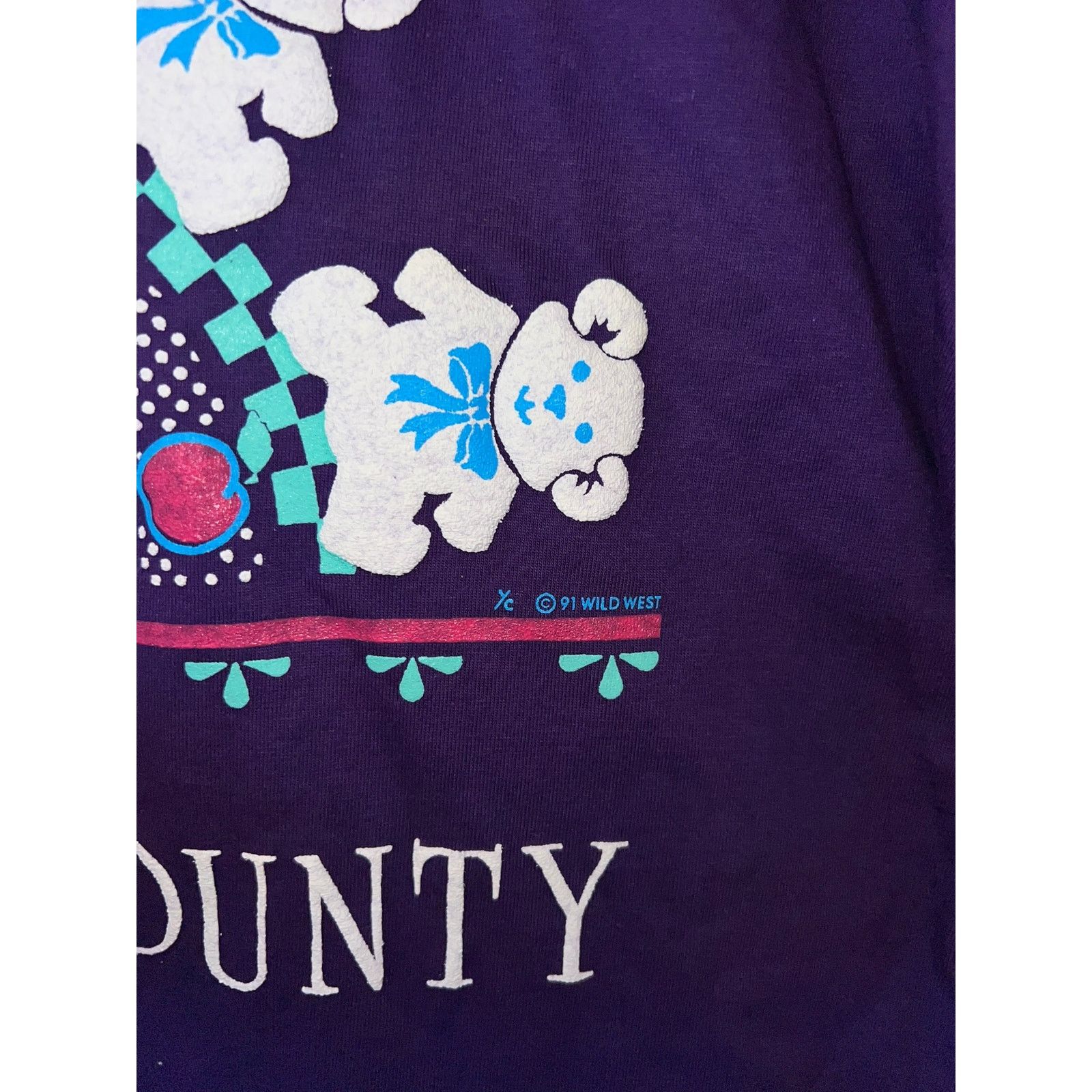 Jerzees Vintage Door County Shirt Purple bear Nature Tee VTG 90s L Size US L / EU 52-54 / 3 - 5 Thumbnail