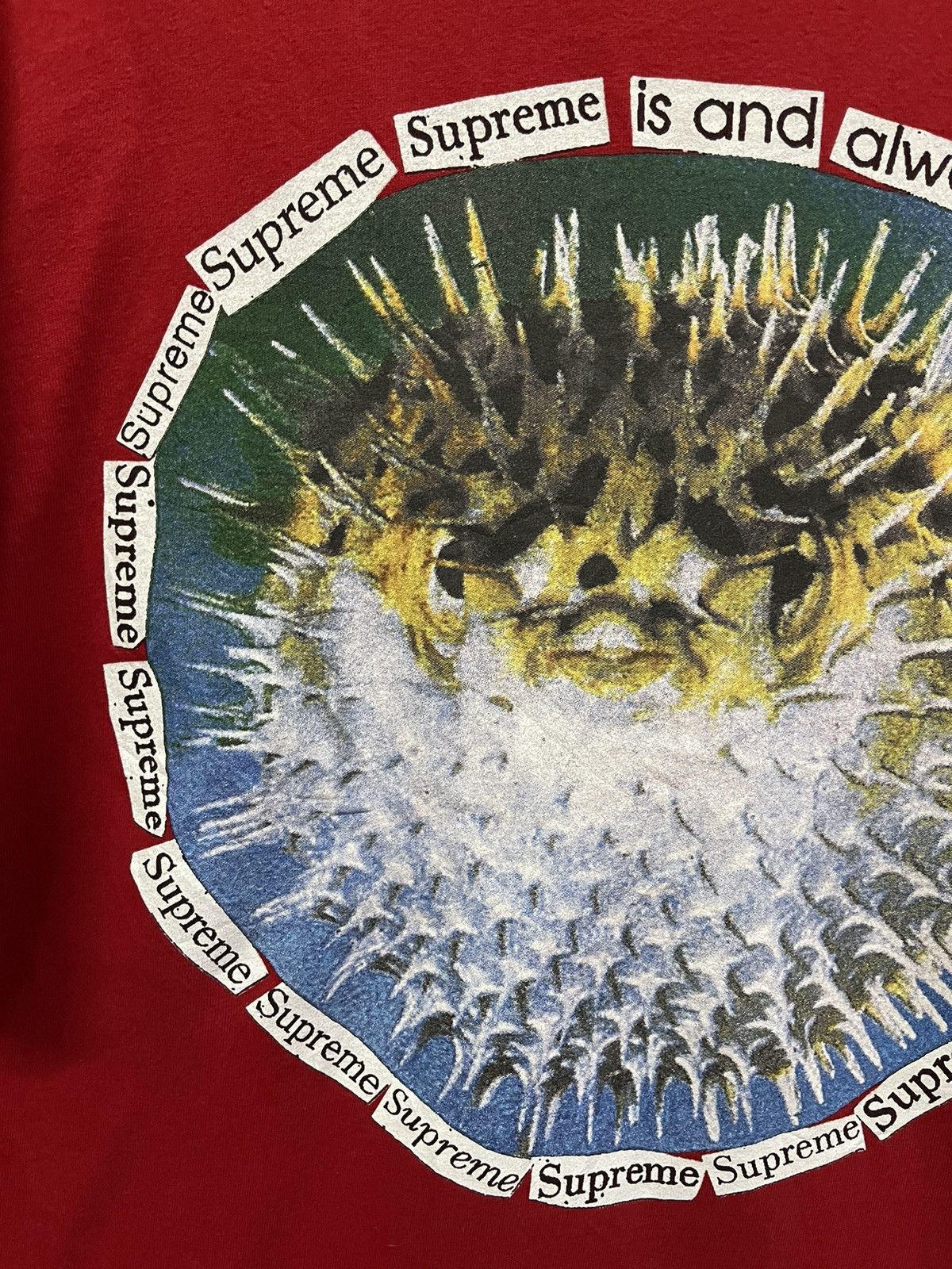 Supreme Supreme 23SS Blowfish🔥🔥🔥 Size US L / EU 52-54 / 3 - 7 Thumbnail