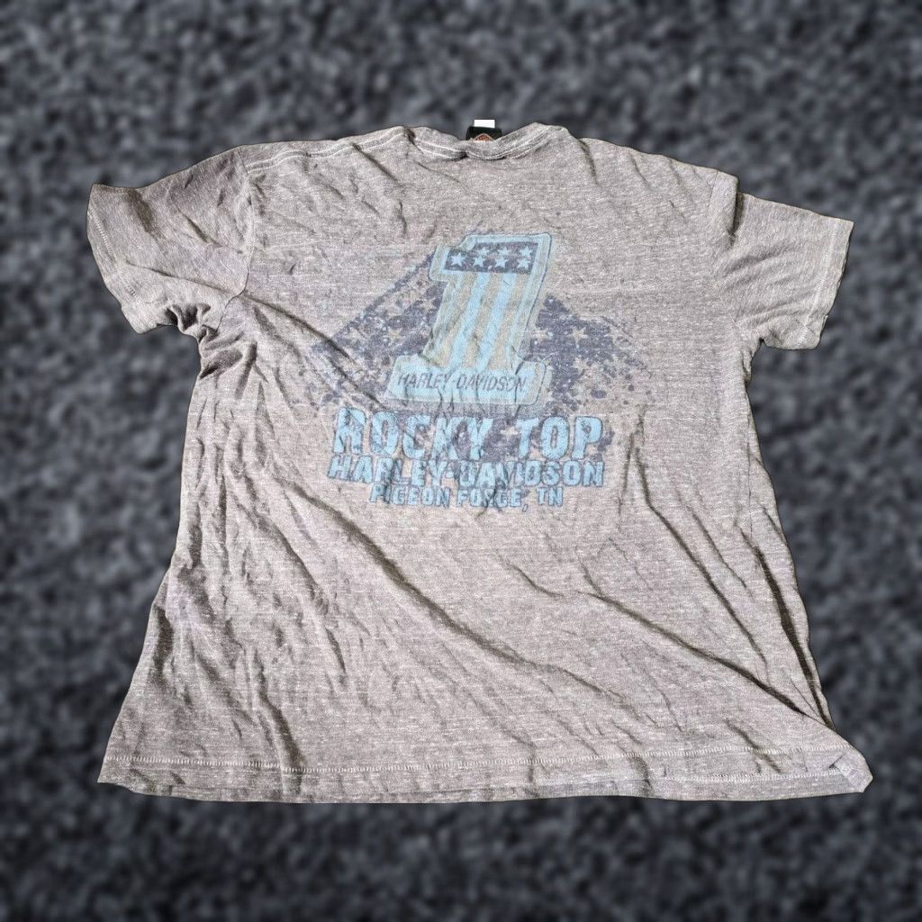 Harley Davidson Harley Davidson Mens Gray Short Sleeve T Shirt Distressed Graphic Print Biker Motorcycle Size US L / EU 52-54 / 3 - 1 Thumbnail