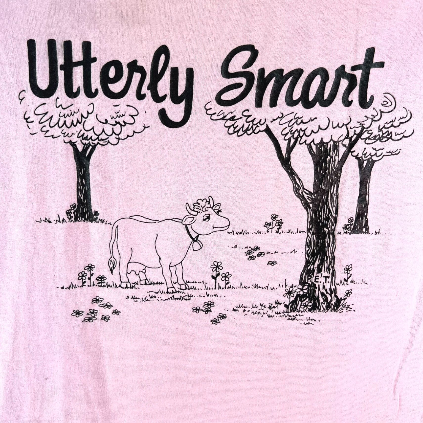 Vintage Screen Stars T-Shirt Mens Graphic Pink Crew Neck Short Sleeve Regular Fit 50/50 Cotton-Polyester Size L Size US L / EU 52-54 / 3 - 2 Thumbnail