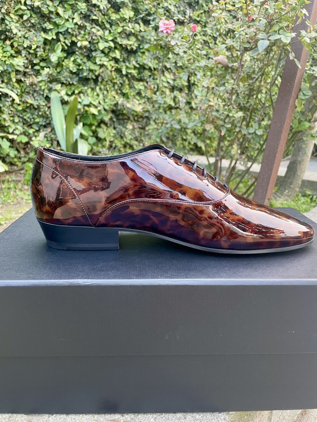 Saint Laurent Paris SLP Runway Patent Leather Lace Up Oxford Shoes Tortoise Size US 8 / EU 41 - 6 Thumbnail