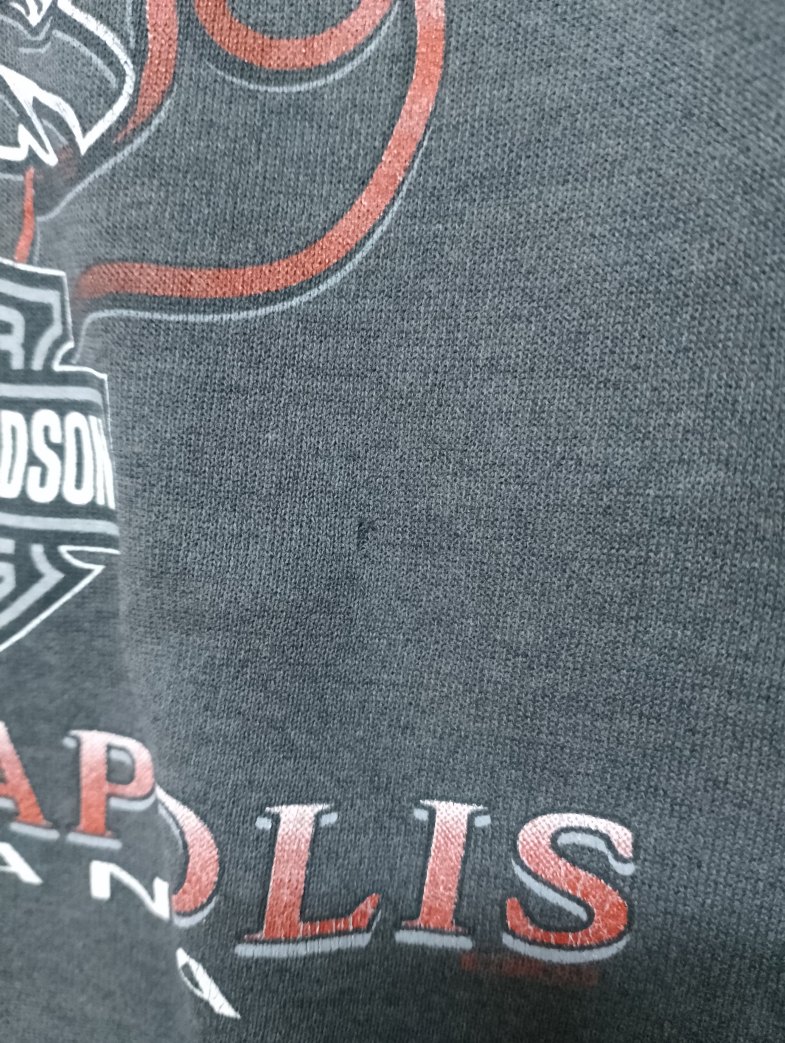 Harley Davidson Vintage Harley Davidson Fire Eagles Hoodie Size US L / EU 52-54 / 3 - 9 Thumbnail