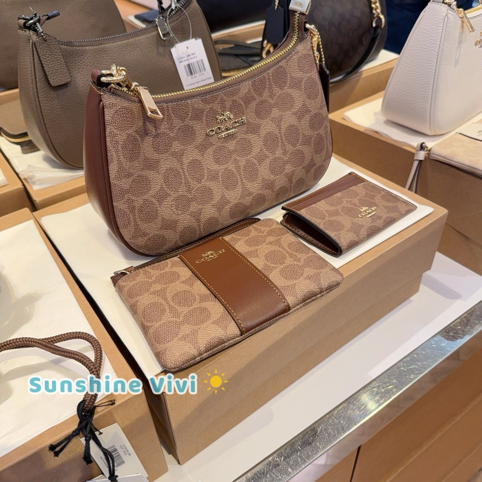 Coach NWT Bundle Coach Teri CV933 & CW854 Wristlet & CW870 ID Case Size ONE SIZE - 2 Thumbnail