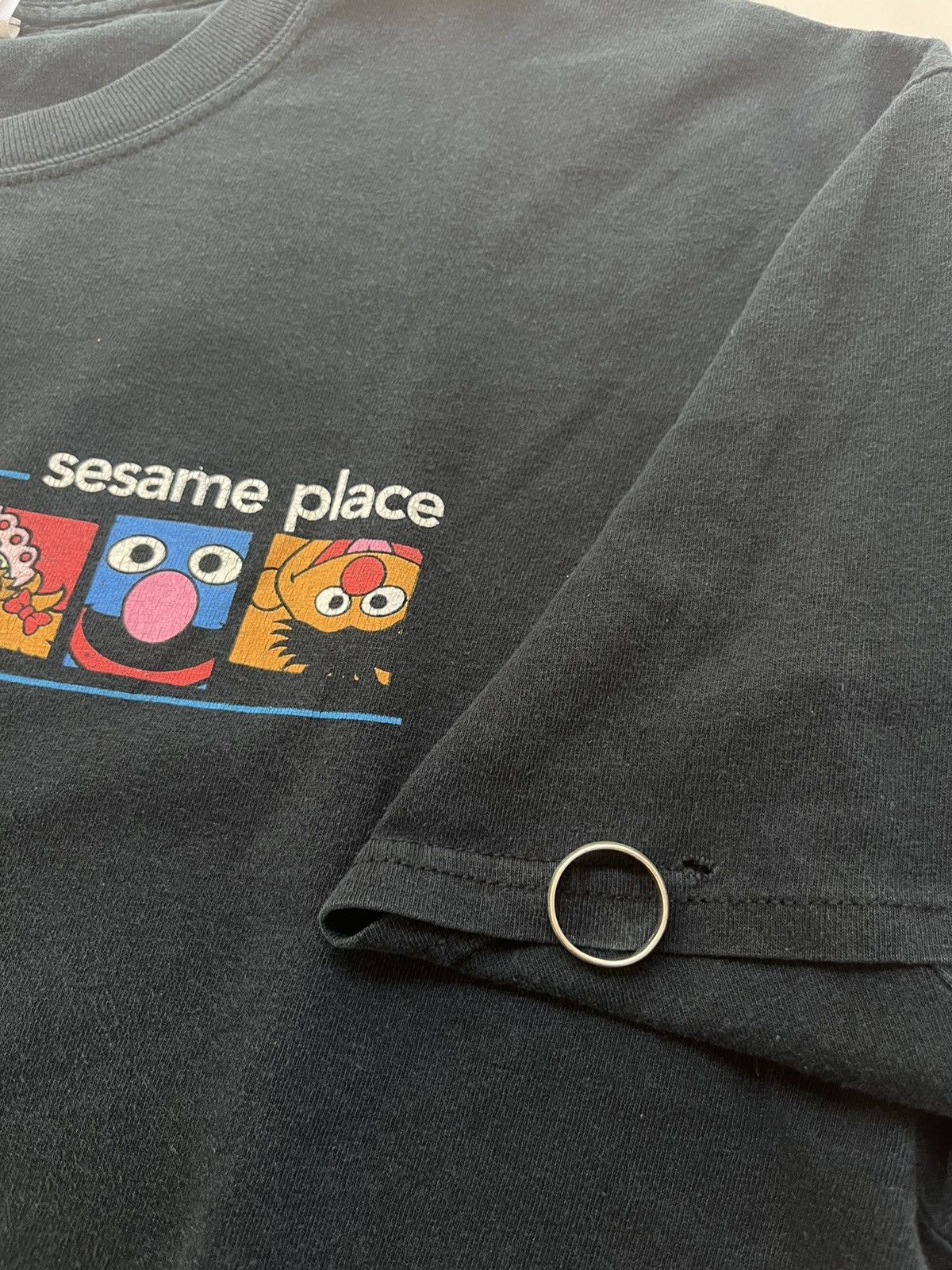 Vintage Vintage Sesame Place Character 2004’s Tshirt Size US XL / EU 56 / 4 - 8 Thumbnail