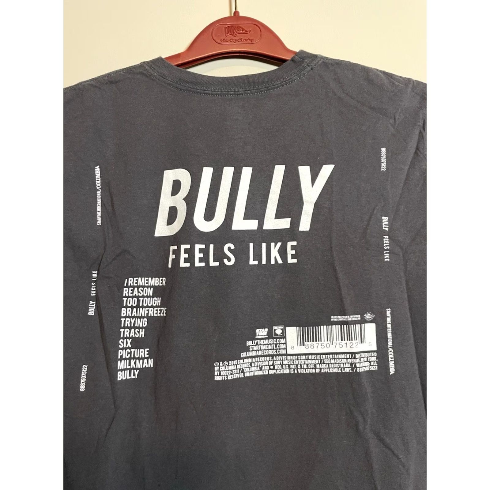 Hanes Hanes Bully Feels Like Tour T-Shirt Mens Short Sleeve M Grey Band Merch 90s Theme Mens Size US M / EU 48-50 / 2 - 2 Thumbnail