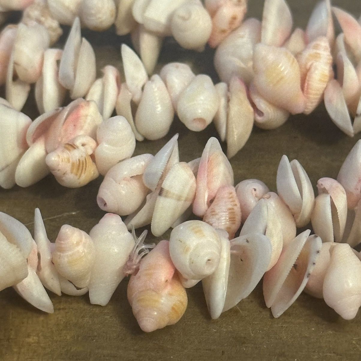 Other Long pink seashell necklace Size ONE SIZE - 3 Thumbnail