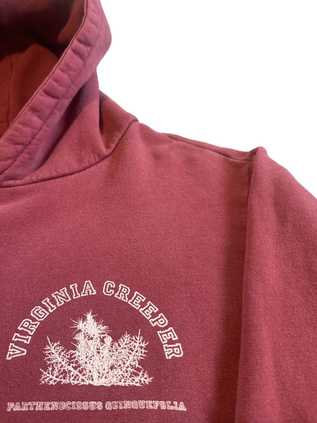 Raf Simons AW2001-2002 Virginia Creeper hoodie