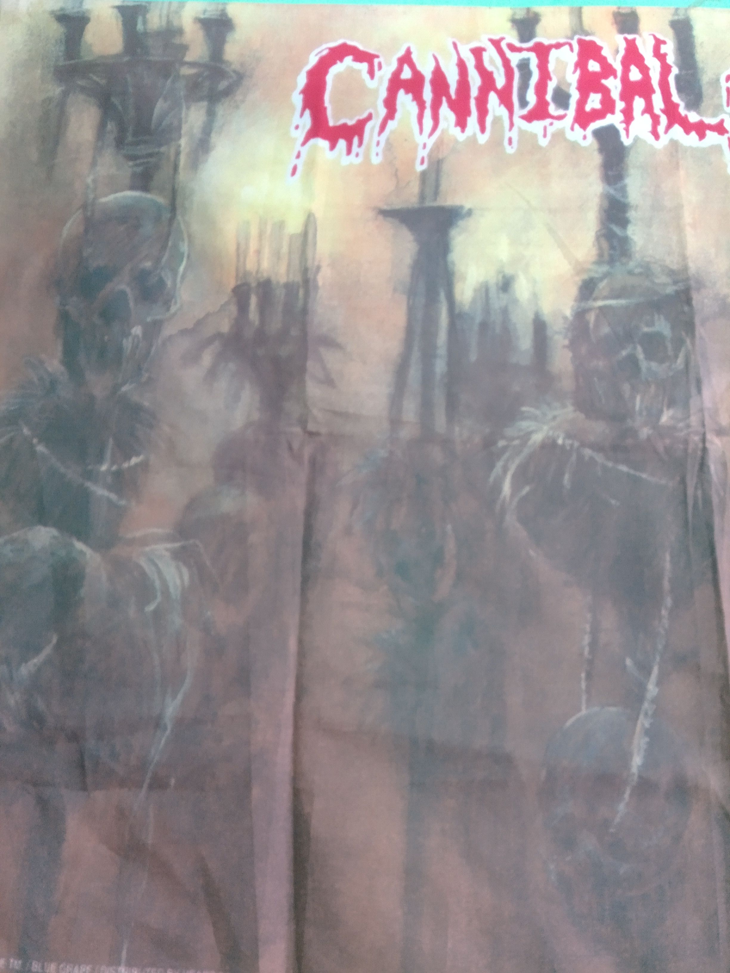 Vintage Vintage '93 CANNIBAL CORPSE poster flag Size ONE SIZE - 2 Thumbnail