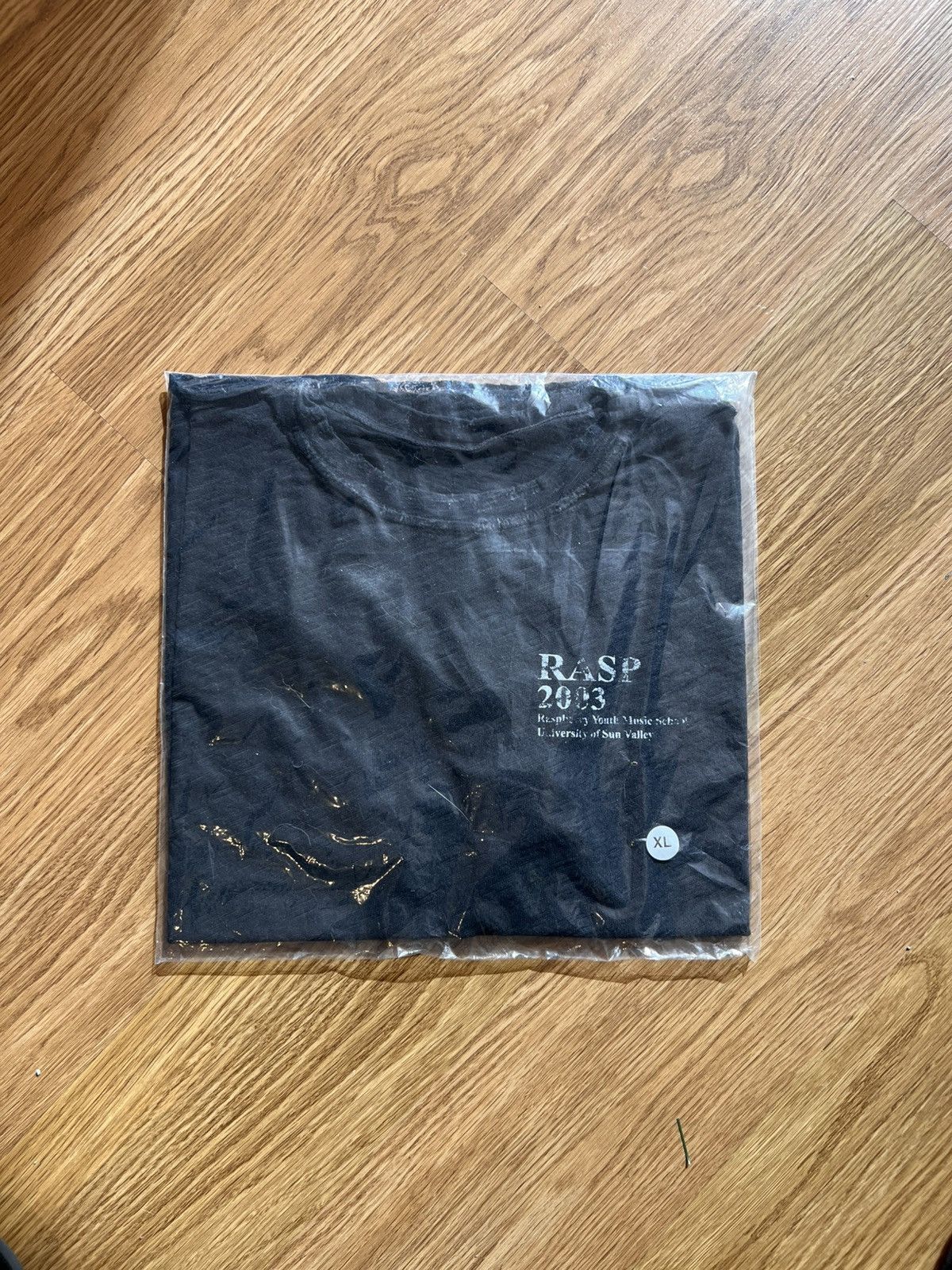 The GV Gallery The GV Gallery Raspberry Hills Music Tee Size US XL / EU 56 / 4 - 1 Preview