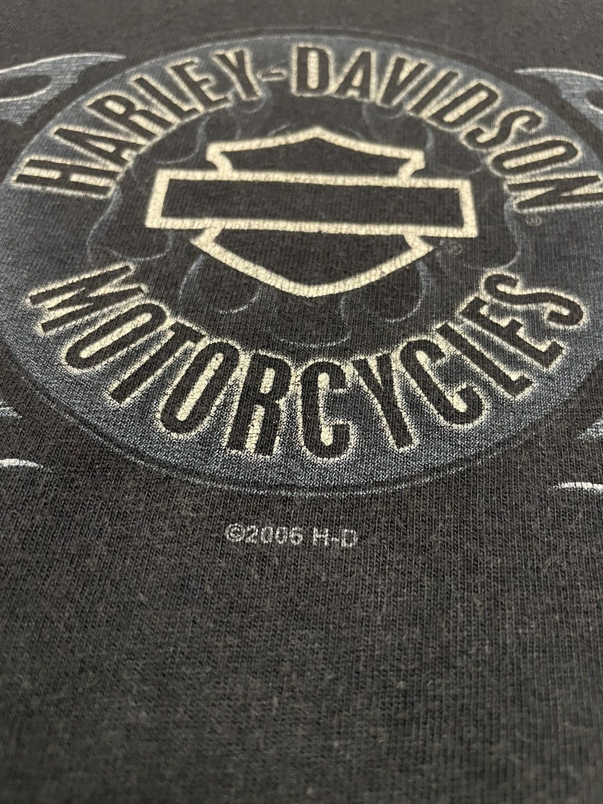 Band Tees Vintage Harley Davidson 2003-2005 Grand Canyon T-Shirt Size US L / EU 52-54 / 3 - 5 Thumbnail