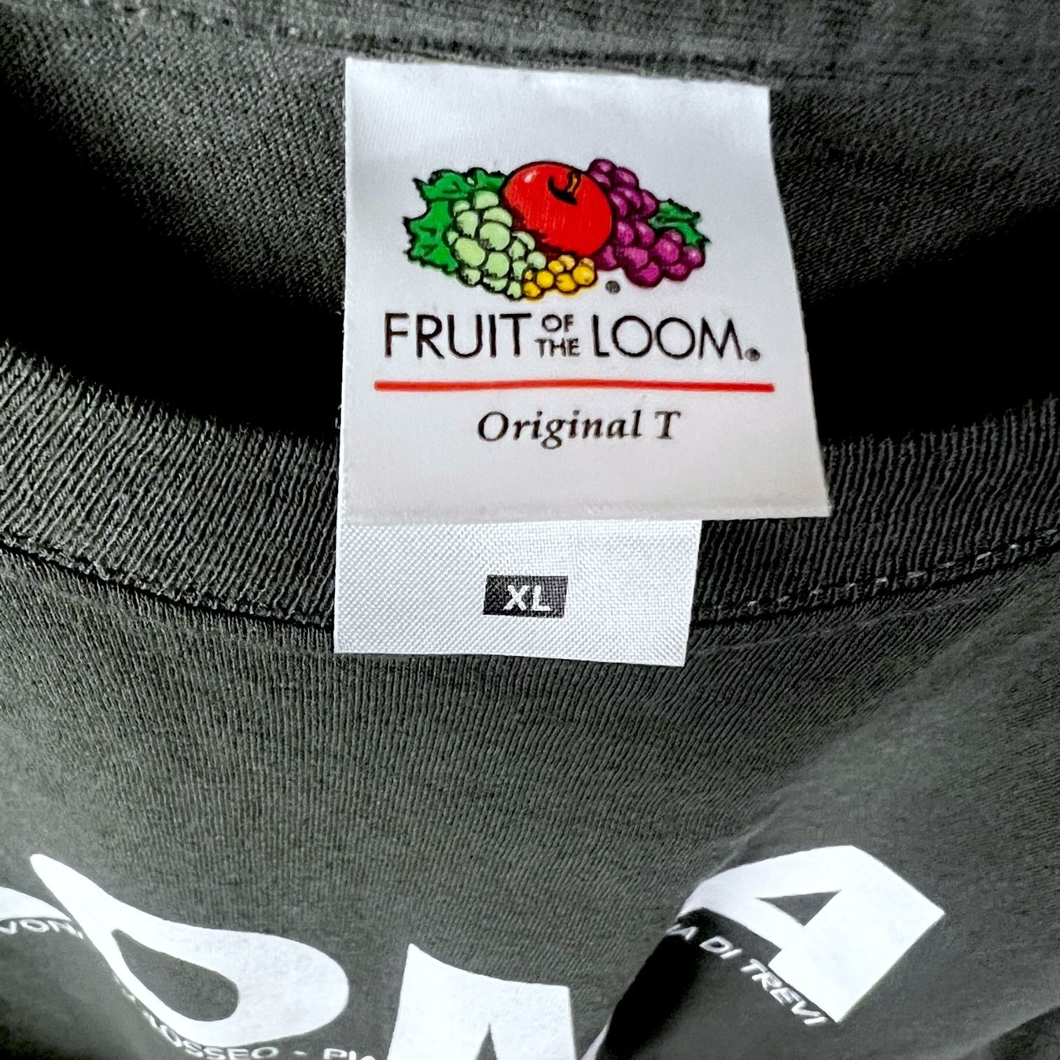 Fruit Of The Loom Y2K Men's Dark Gray Roma Italy Souvenir T-Shirt - Size XL Size US XL / EU 56 / 4 - 3 Thumbnail
