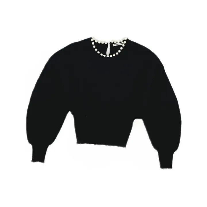 Alexander Wang Alexander Wang Casual Fashion Knit Sweater 0079 Size XS / US 0-2 / IT 36-38 - 1 Thumbnail