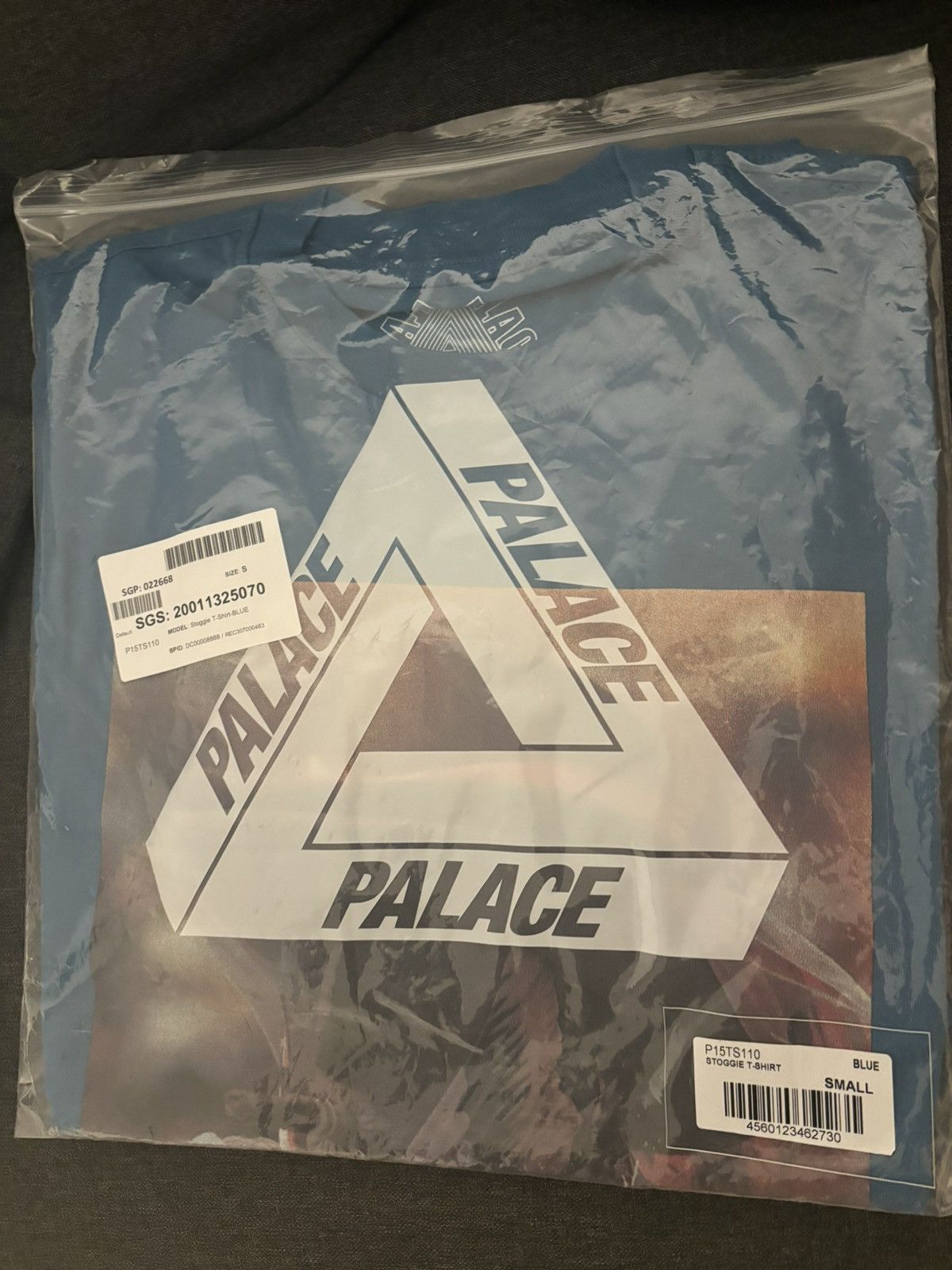 image of Palace Stoggie Tee - Small - in Blue, Men's