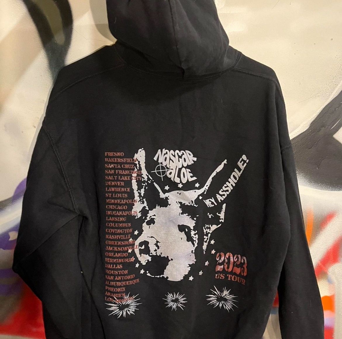 1/1 Nascar Aloe Tour Hoodie