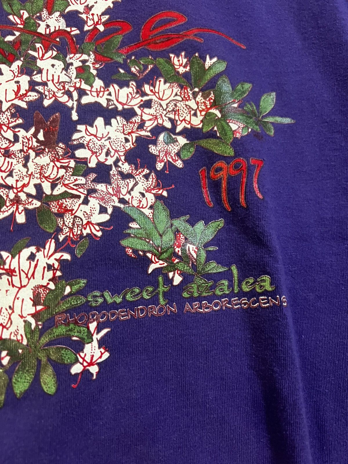Hanes × Vintage 1997 Native Plant Conference Sweet Azalea Tee Size US L / EU 52-54 / 3 - 3 Thumbnail