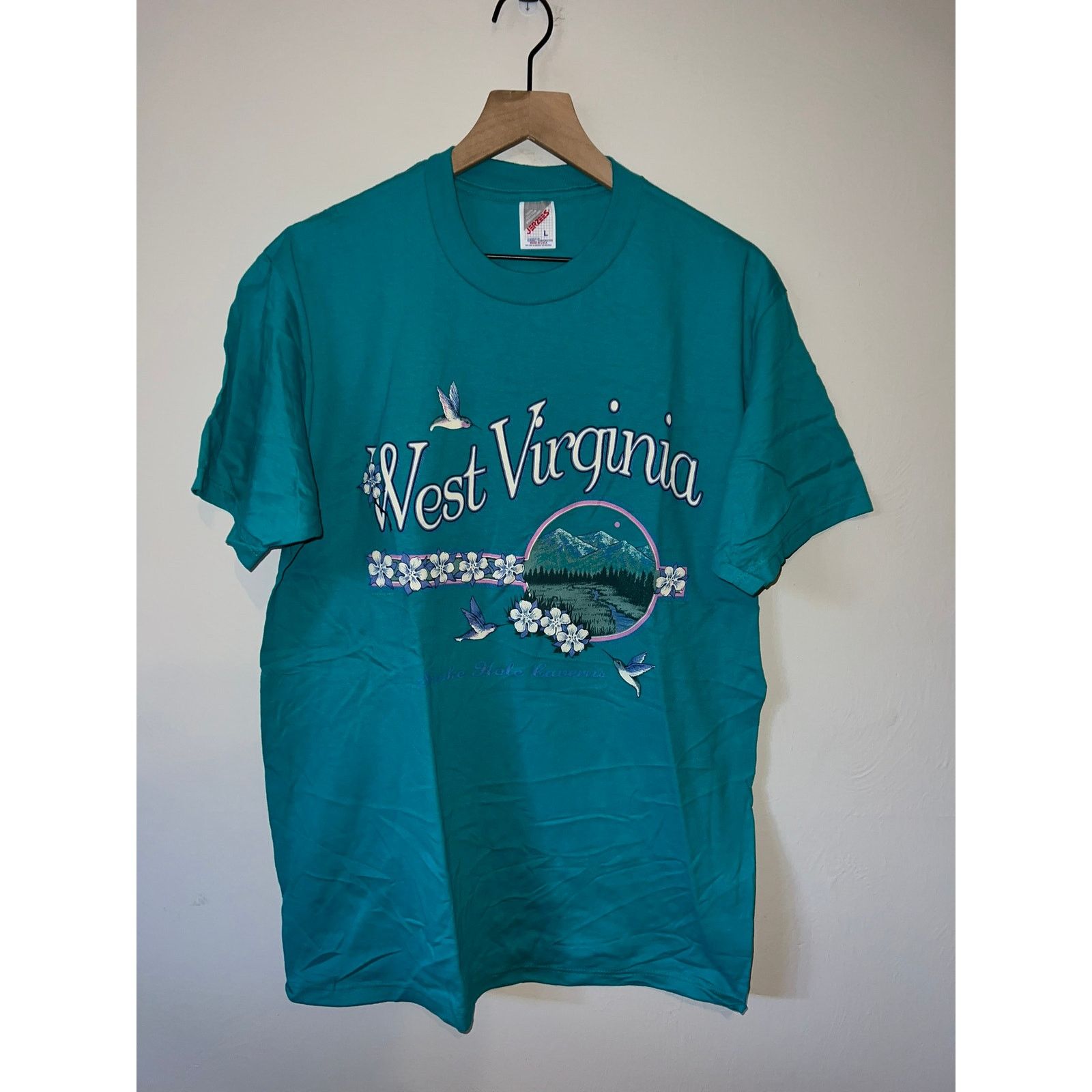 Jerzees Vintage West Virginia Shirt Nature Teal Tee VTG 90s L Size US L / EU 52-54 / 3 - 1 Thumbnail
