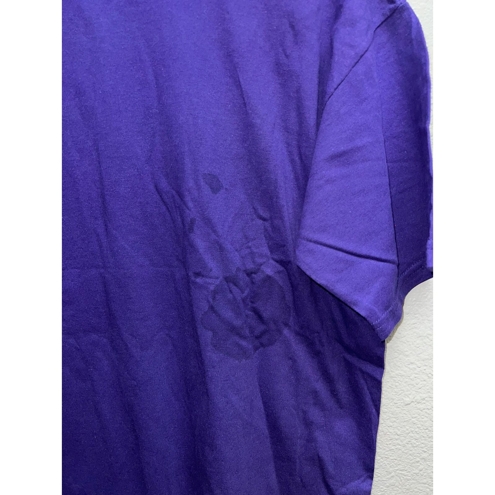 Jerzees Vintage Montana Shirt Willdflower Collection Purple Tee 90s Size US M / EU 48-50 / 2 - 7 Thumbnail