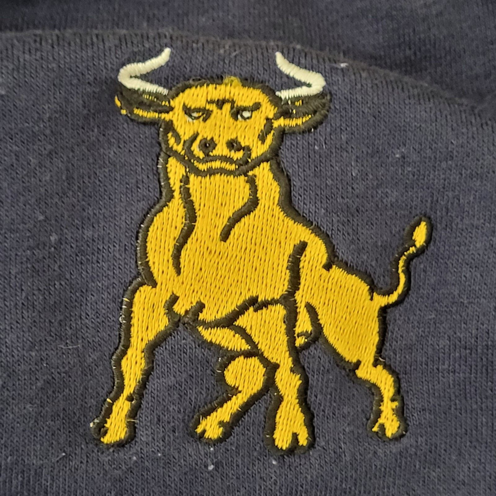 Vintage VTG Charlotte Varsity Ringer Sweatshirt XL Blue Yellow Y2K Size US XL / EU 56 / 4 - 6 Thumbnail