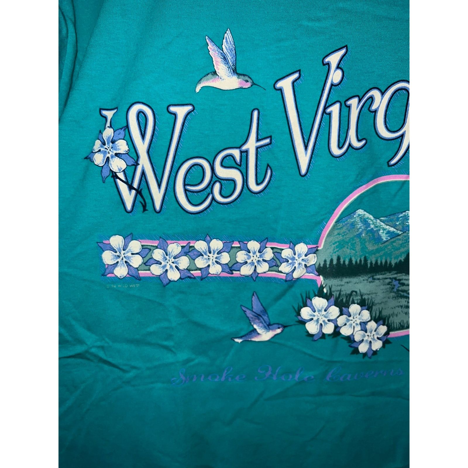 Jerzees Vintage West Virginia Shirt Nature Teal Tee VTG 90s L Size US L / EU 52-54 / 3 - 2 Thumbnail