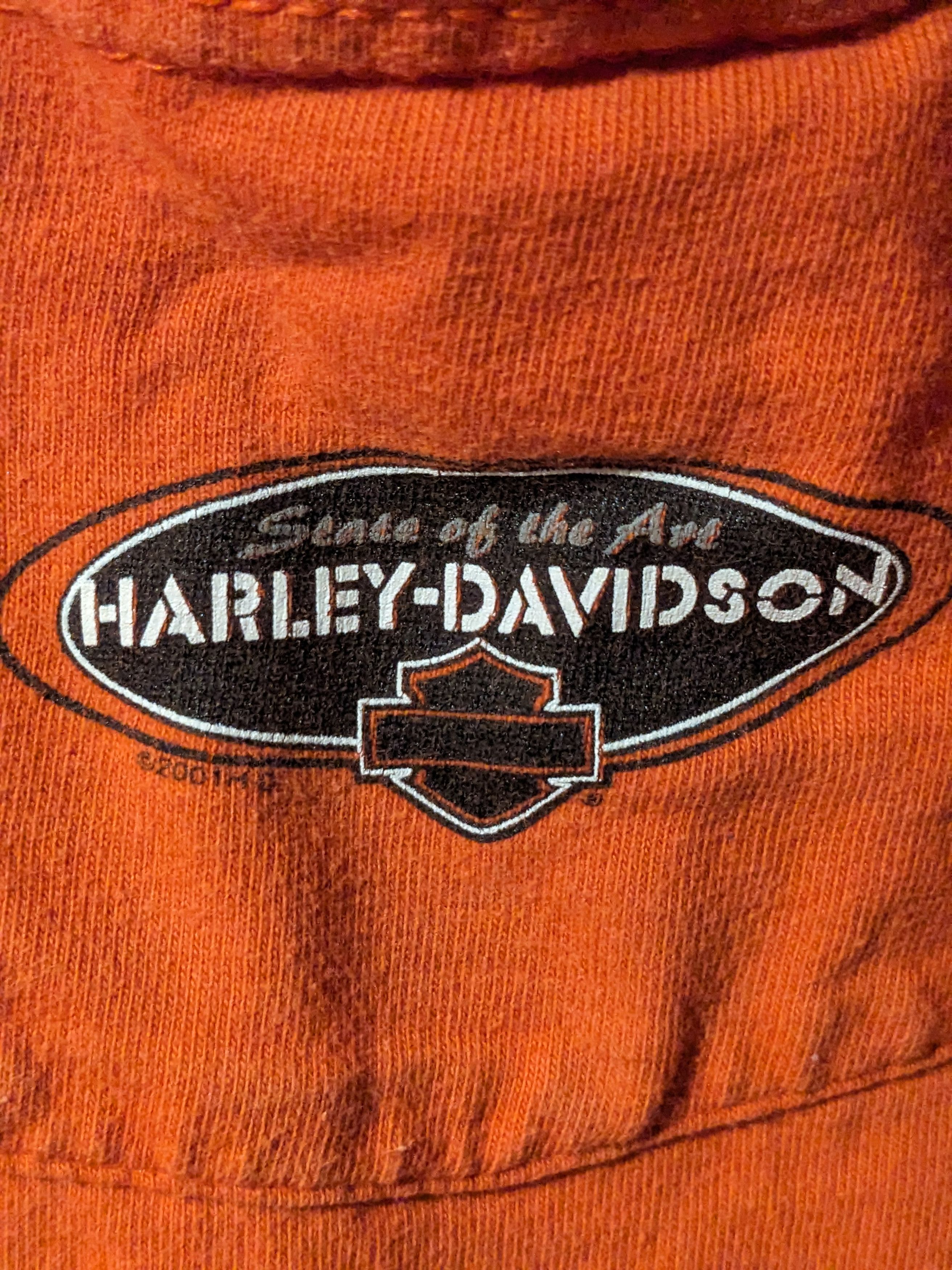 Harley Davidson × Vintage Vintage 2001 Harley Davidson Winchester Virginia T-Shirt Size US L / EU 52-54 / 3 - 4 Thumbnail