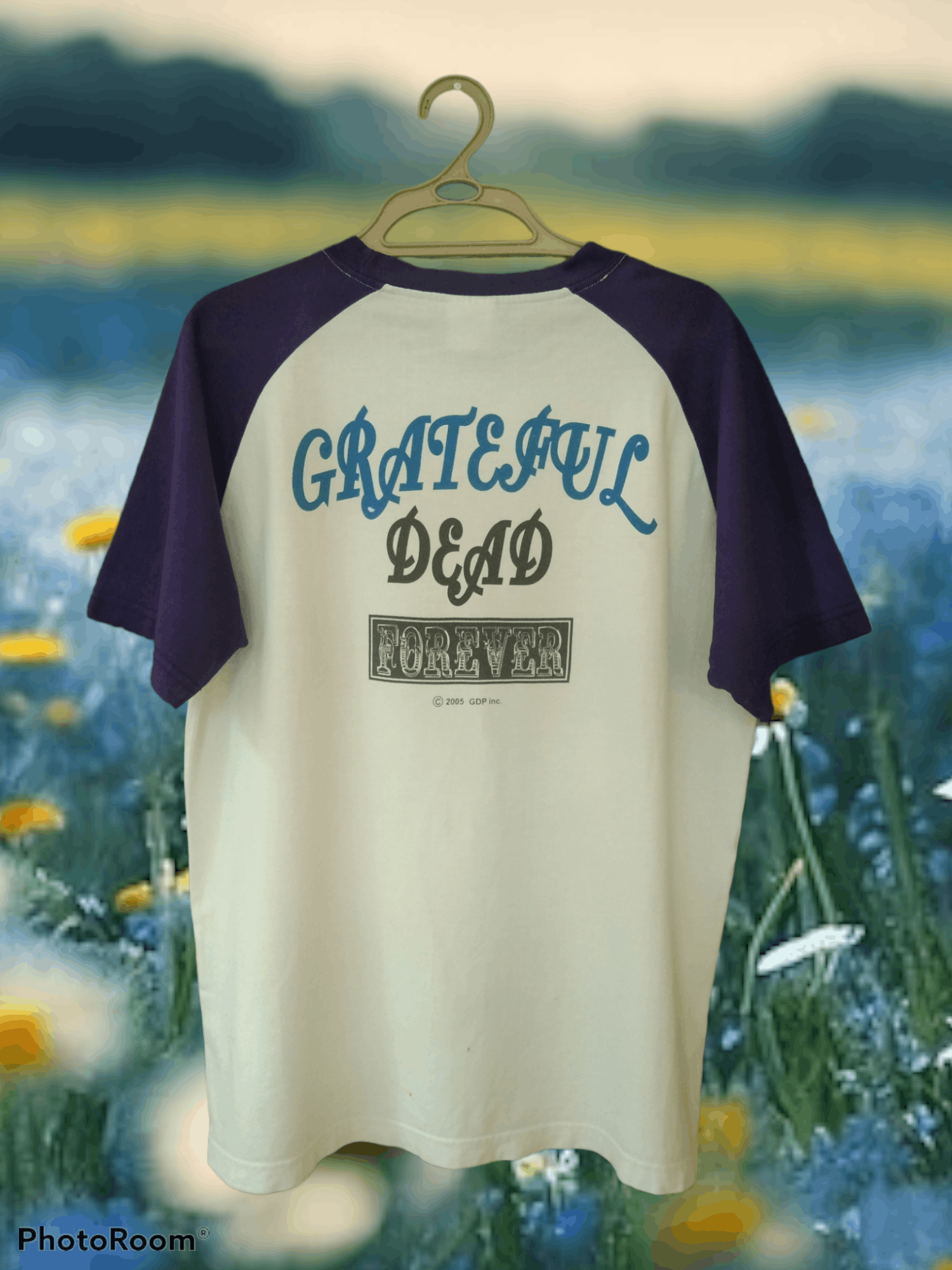 Band Tees VINTAGE 05 GRATEFUL DEAD T-SHIRT Size US L / EU 52-54 / 3 - 2 Thumbnail