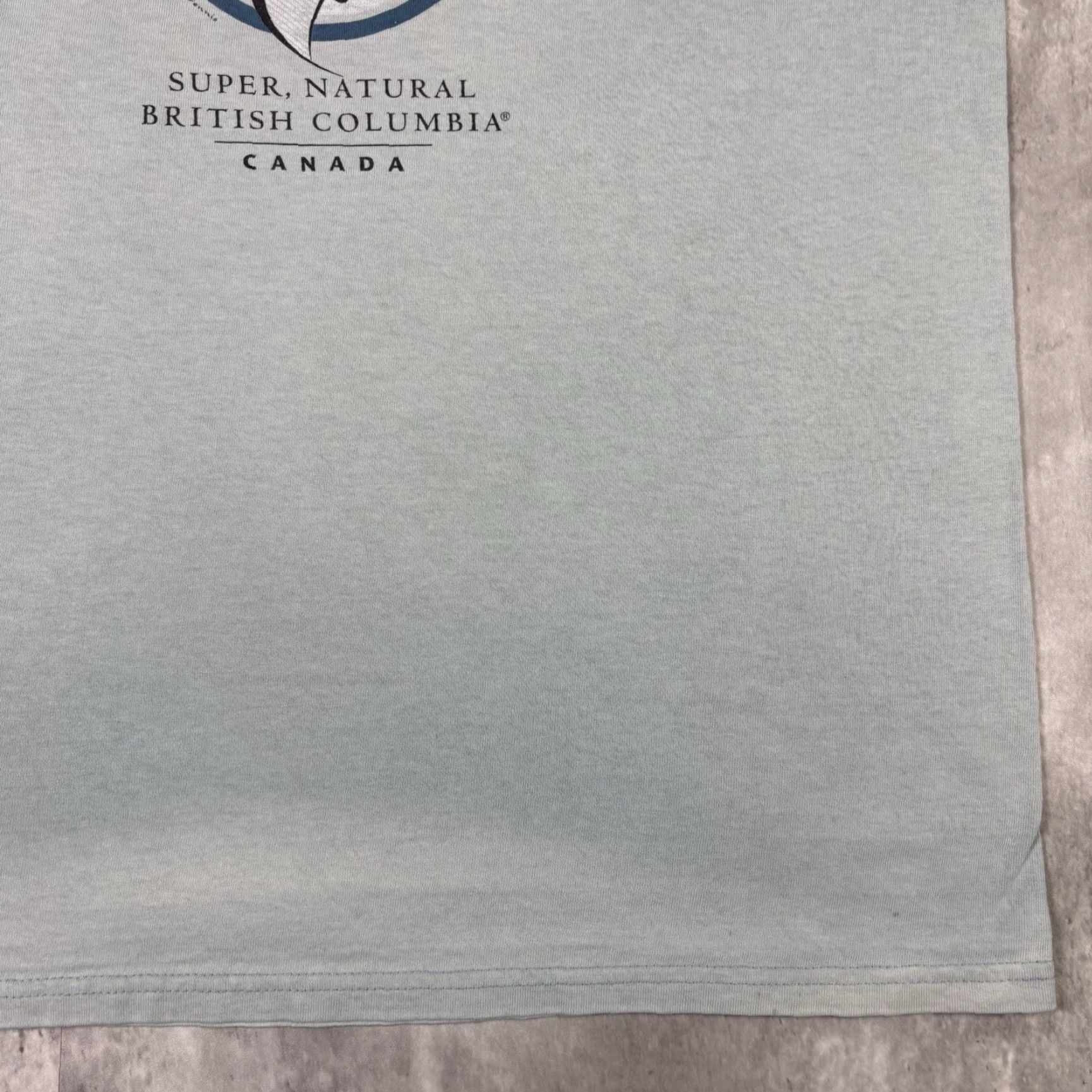 Gildan VINTAGE Salmon Fish Art T Shirt Blue Sun Faded 90s Nature Outdoors size Large Size US L / EU 52-54 / 3 - 4 Thumbnail