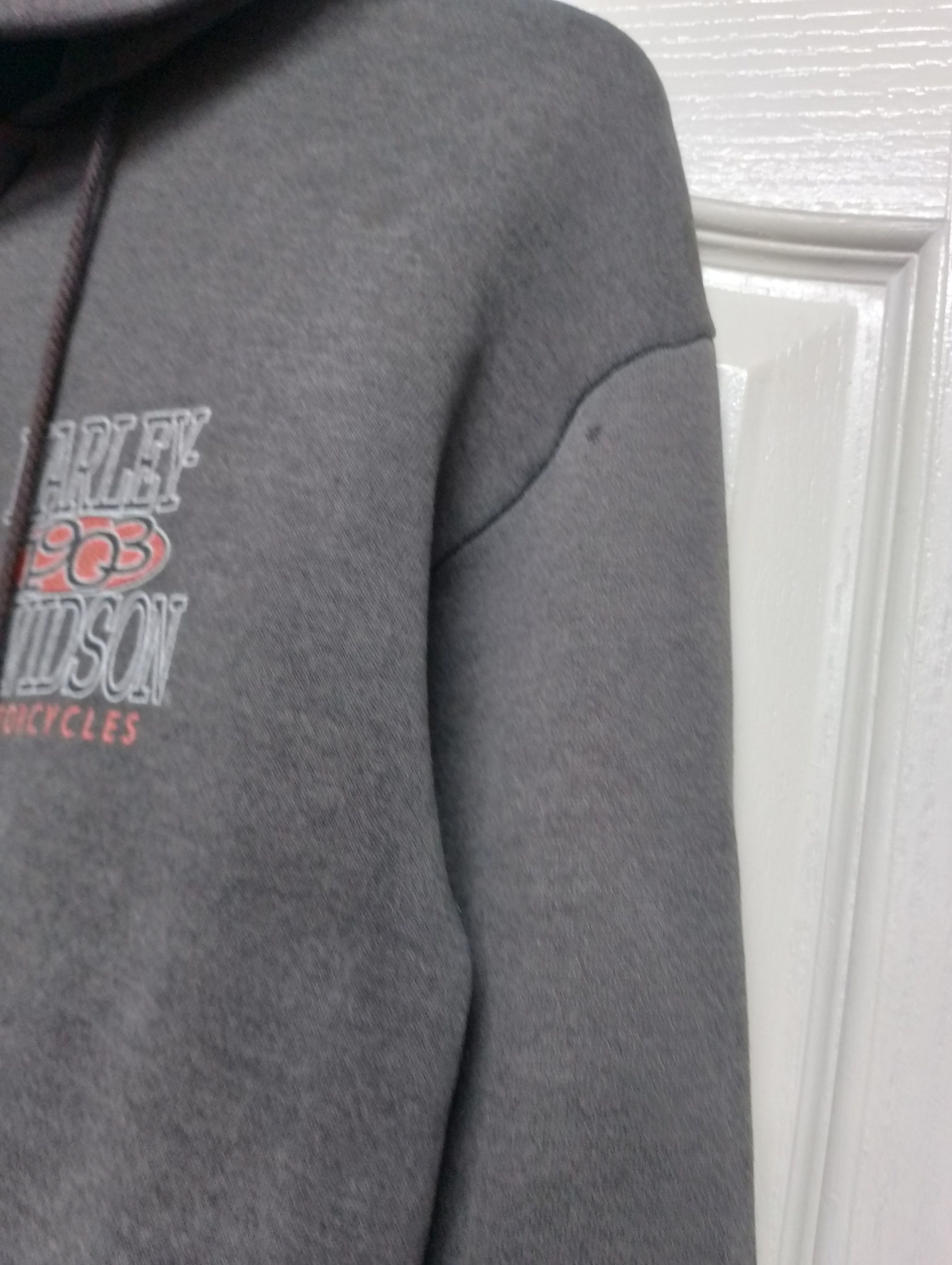 Harley Davidson Vintage Harley Davidson Fire Eagles Hoodie Size US L / EU 52-54 / 3 - 5 Thumbnail