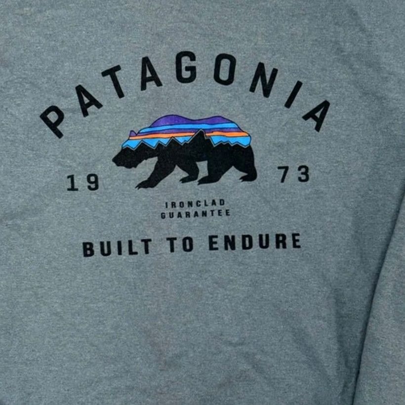 Patagonia Patagonia Mens Shadow Blue Size M Arched Fitz Roy Bear Sweatshirt Size US M / EU 48-50 / 2 - 3 Thumbnail